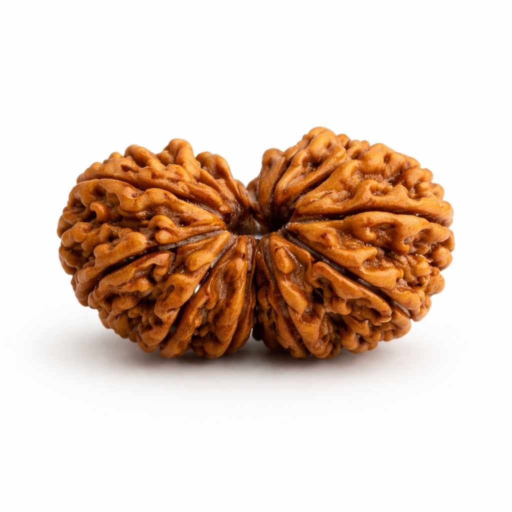Gauri Shankar Rudraksha (ST Aura)